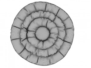 ruffled round pillow Model 3D