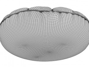 ruffled round pillow Model 3D