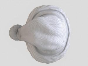 santa hat Model 3D
