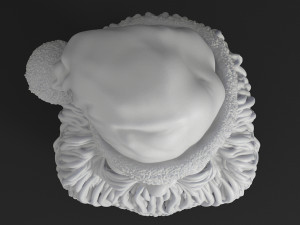 santa claus printable bust 3D-Druckmodell