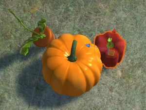 bah&ccedil;e 3D Model