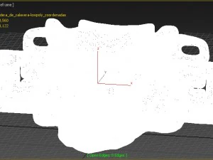skull with mayan art 3D Model
