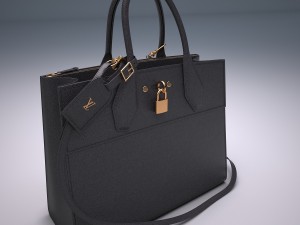 City steamer bag 3D 모델