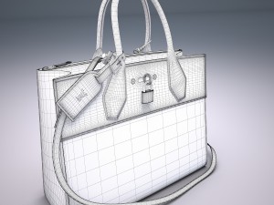 City steamer bag 3D 모델