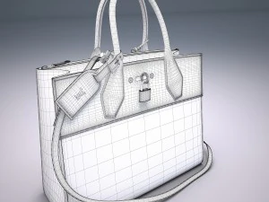 City steamer bag 3D Model