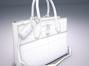 City steamer bag 3D 모델