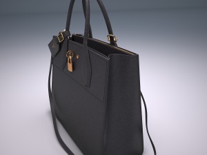 City steamer bag 3D 모델