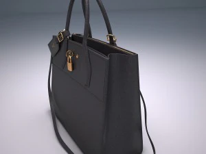 City steamer bag 3D Model