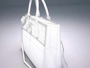 City steamer bag 3D Model