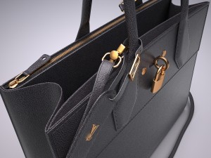 City steamer bag 3D 모델