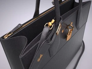 City steamer bag 3D Model
