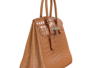Bag beige crocodile leather 3D Model