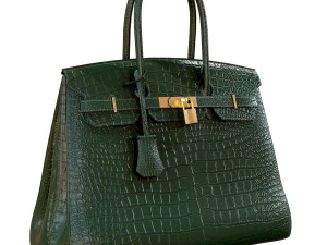 Bag green crocodile leather 3D Model