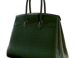 Bag green crocodile leather 3D Model