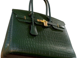 Bag green crocodile leather 3D Model