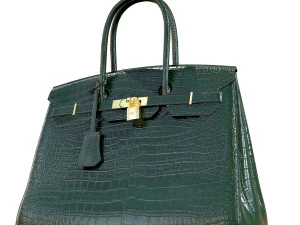 Bag green crocodile leather 3D Model