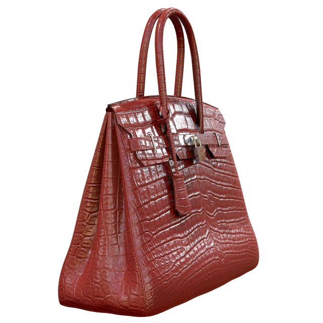 Hermes birkin hotsell crocodile leather