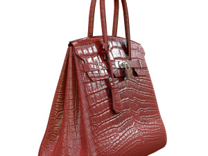 Bag red crocodile leather 3D 모델