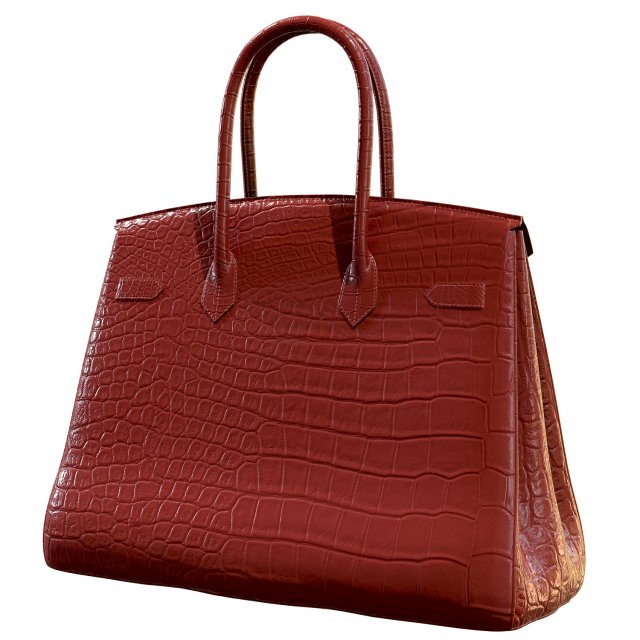 Hermes birkin clearance red crocodile