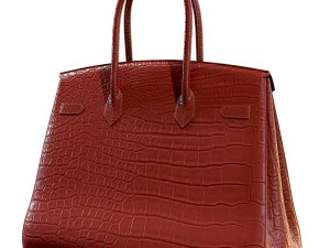 Bag red crocodile leather 3D Model