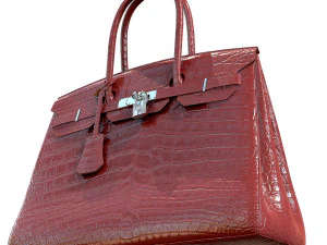 Bag red crocodile leather 3D Model