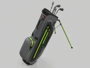 Titleist gray-green stadry golf bag plus 3D Model