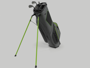 Titleist gray-green stadry golf bag plus Modèle 3D