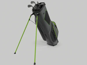 Titleist gray-green stadry golf bag plus 3D Model