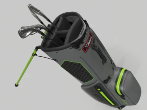 Titleist gray-green stadry golf bag plus 3D Model