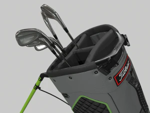 Titleist gray-green stadry golf bag plus 3D Model