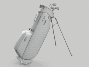 Titleist gray-green stadry golf bag plus Modèle 3D