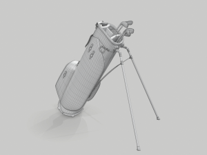 Titleist gray-green stadry golf bag plus Modèle 3D