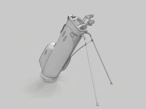 Titleist gray-green stadry golf bag plus 3D Model