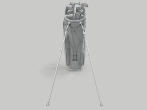 Titleist gray-green stadry golf bag plus Modèle 3D