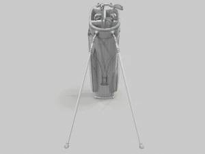 Titleist gray-green stadry golf bag plus 3D Model