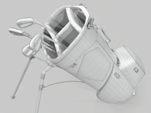 Titleist gray-green stadry golf bag plus 3D Model