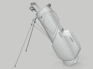 Titleist gray-green stadry golf bag plus Modèle 3D