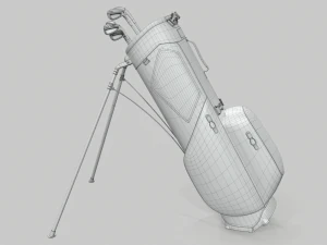 Titleist gray-green stadry golf bag plus 3D Model