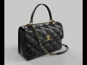 Small flap bag with top handle 3D Model