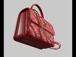 Small flap bag with top handle 3D Model