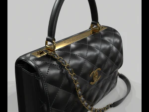 Small flap bag with top handle 3D Model