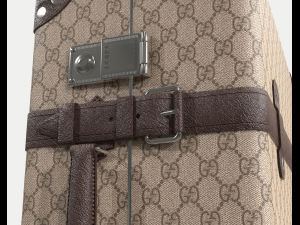 Globe-trotter gg canvas luggage suitcase Modello 3D