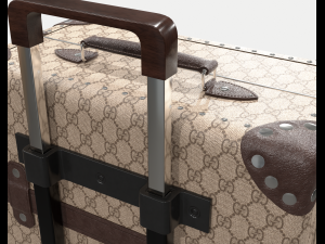 Globe-trotter gg canvas luggage suitcase Modello 3D