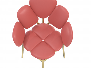 Petal Chair 3D Model