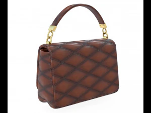Go 14 Bag 3D Model