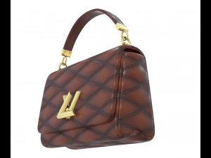 Go 14 Bag 3D Model