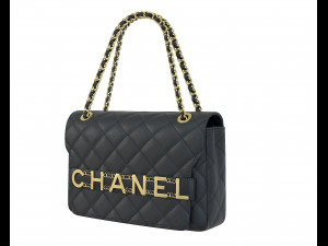 Front Logo Flap Bag Black 3D Model