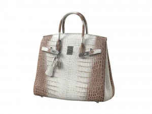 Bag Alligator White 3D Model