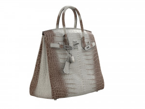 Bag Alligator White Model 3D