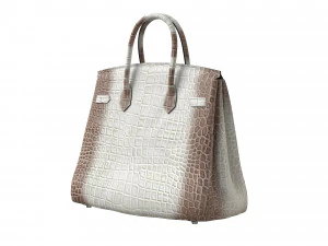 Bag Alligator White 3D Model